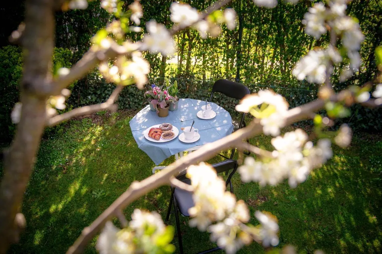 My Sweet Garden - By Myhomeincomo Cassina Rizzardi 0*,  Italia
